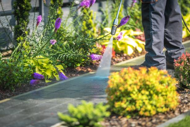 Best Concrete Surface Cleaning in Mont Clare, PA